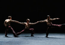Al via “Open Dance 2026” terza edizione della rassegna dedicata alla danza d’autore, al Teatro Nuovo di Napoli
